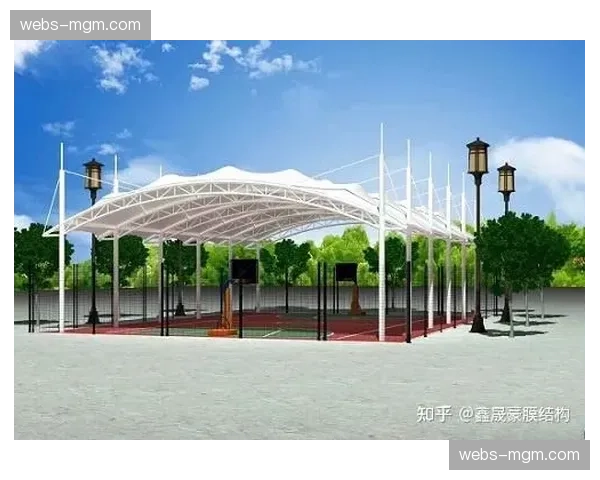 通讯：为应对极端天气，多个法甲球场升级排水与顶棚系统