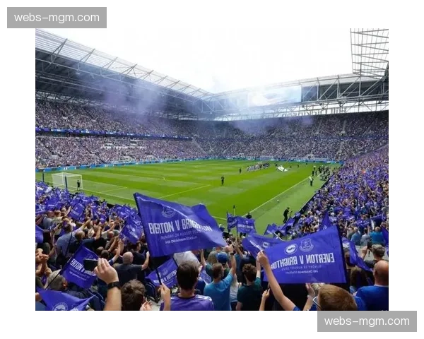 埃弗顿新球场建设进入最后阶段,预计下赛季投入使用 埃弗顿新球场建设进入最后阶段,预计下赛季投入使用