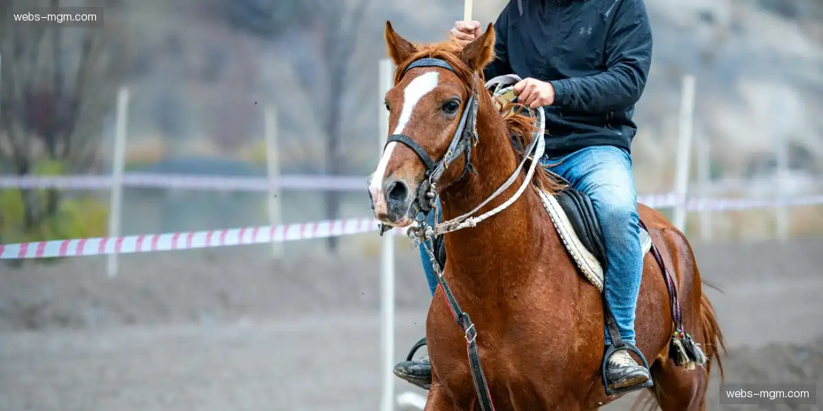 🔥 胜负手就在一瞬间，紧张气息蔓延全场！💣